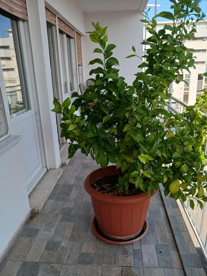 Room With Private Toilet And Balcony In City Center In Shared Apartment Split Luaran gambar